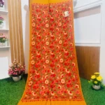 Beautiful Kashmiri Shawl - KS661