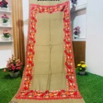 Beautiful Kashmiri Shawl - KS669