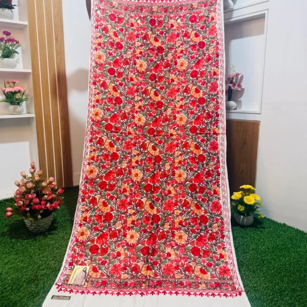 Beautiful Kashmiri Shawl - KS675