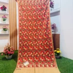 Beautiful Kashmiri Shawl - KS713