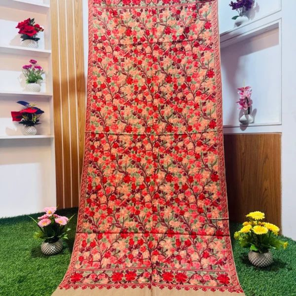 Beautiful Kashmiri Shawl - KS757