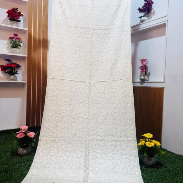 Beautiful Kashmiri Shawl - KS764